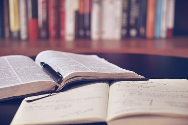 Greg Burd and Francesca Gino: Exploring the Controversy and Academic Ethics Debate