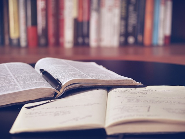 Greg Burd and Francesca Gino: Exploring the Controversy and Academic Ethics Debate