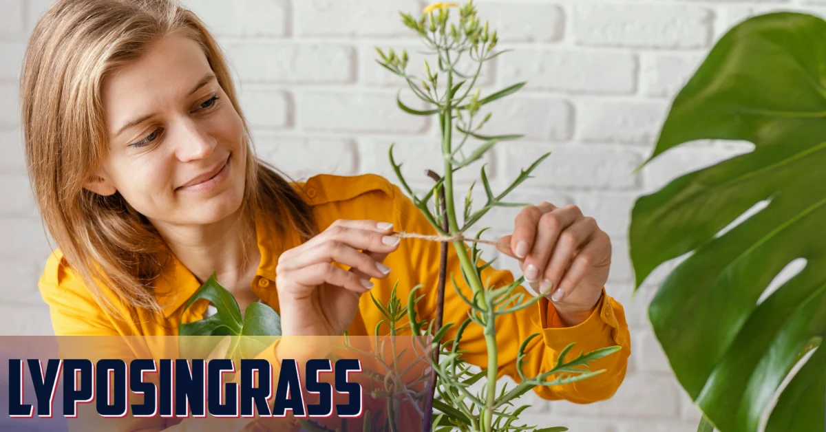 Lyposingrass: Where Nature Meets Modern Wellness